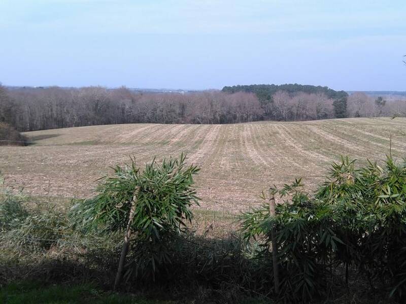 Maison à louer, 45m², SAINT ANDRE DE SEIGNANX