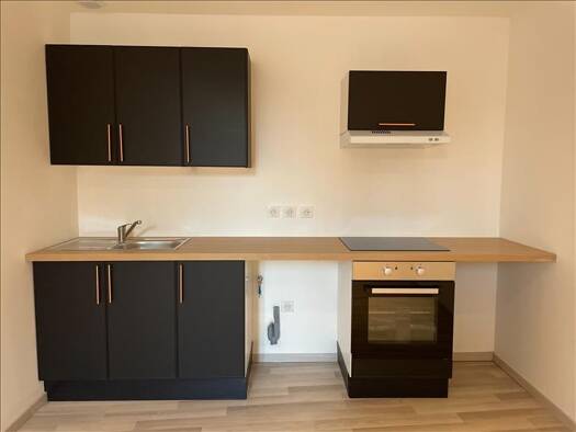 Appartement à louer 470 € 3 pièces 2 chambres 56 m² RDC/1 La Châtre 36400