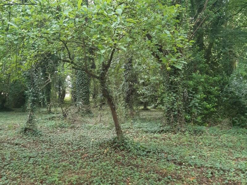 Maison à vendre, 96m², GOUDELIN