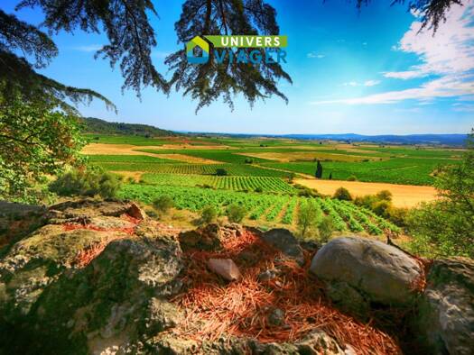 Maison en viager occupé Bouquet 102 400 € 8 pièces 6 chambres 228 m² Tourouzelle 11200