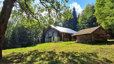 Chalet à vendre 390 000 € 6 pièces 4 chambres 155 m² 20 000 m² de terrain Morillon 74440