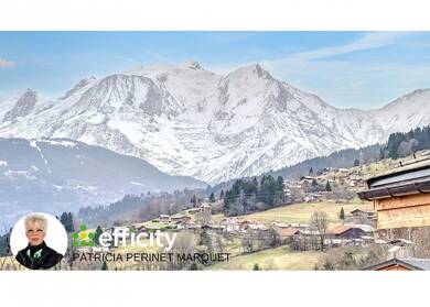 Chalet à vendre 1 150 000 € 5 pièces 4 chambres 117,1 m² 100 m² de terrain Combloux 74920