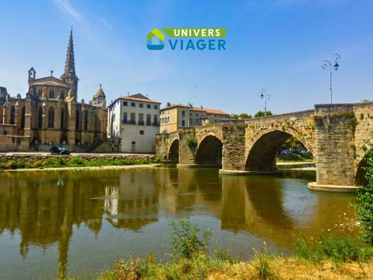 Maison en viager occupé Bouquet 39 000 € 4 pièces 3 chambres 136 m² Saint-Hilaire 11250