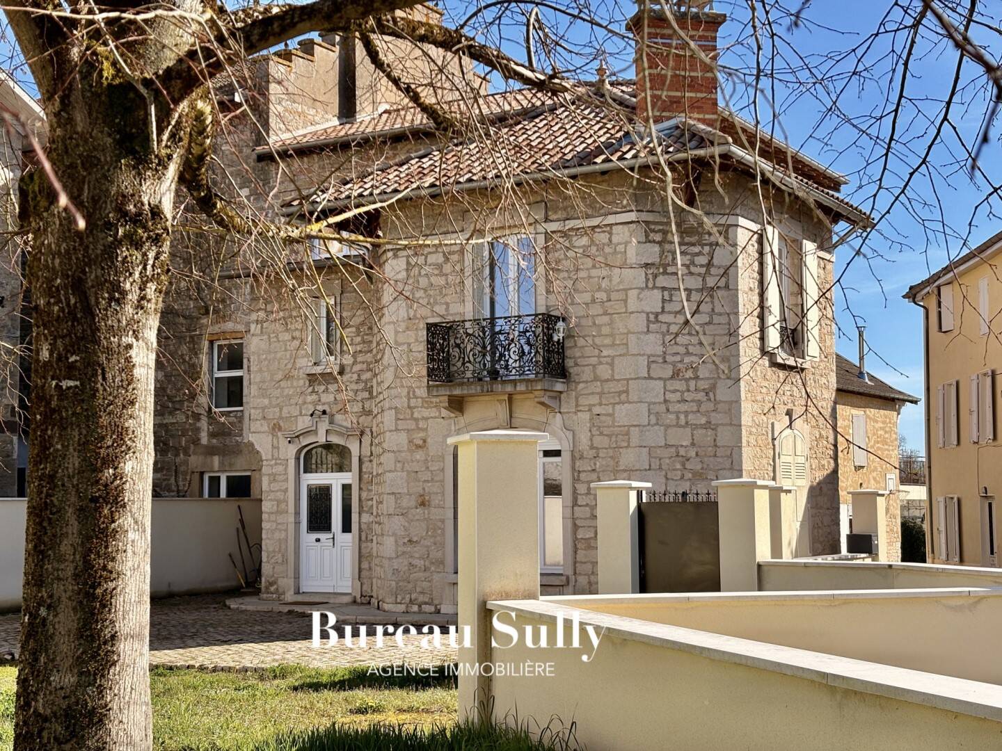 Maison à vendre, 300m², SAINT DIDIER SUR CHALARONNE