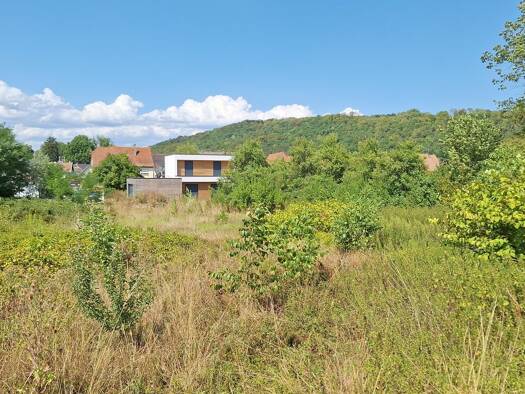 Terrain constructible viabilisé à vendre 115 693 € 2 356 m² de terrain dès le 01/09/2026 Tagolsheim 68720