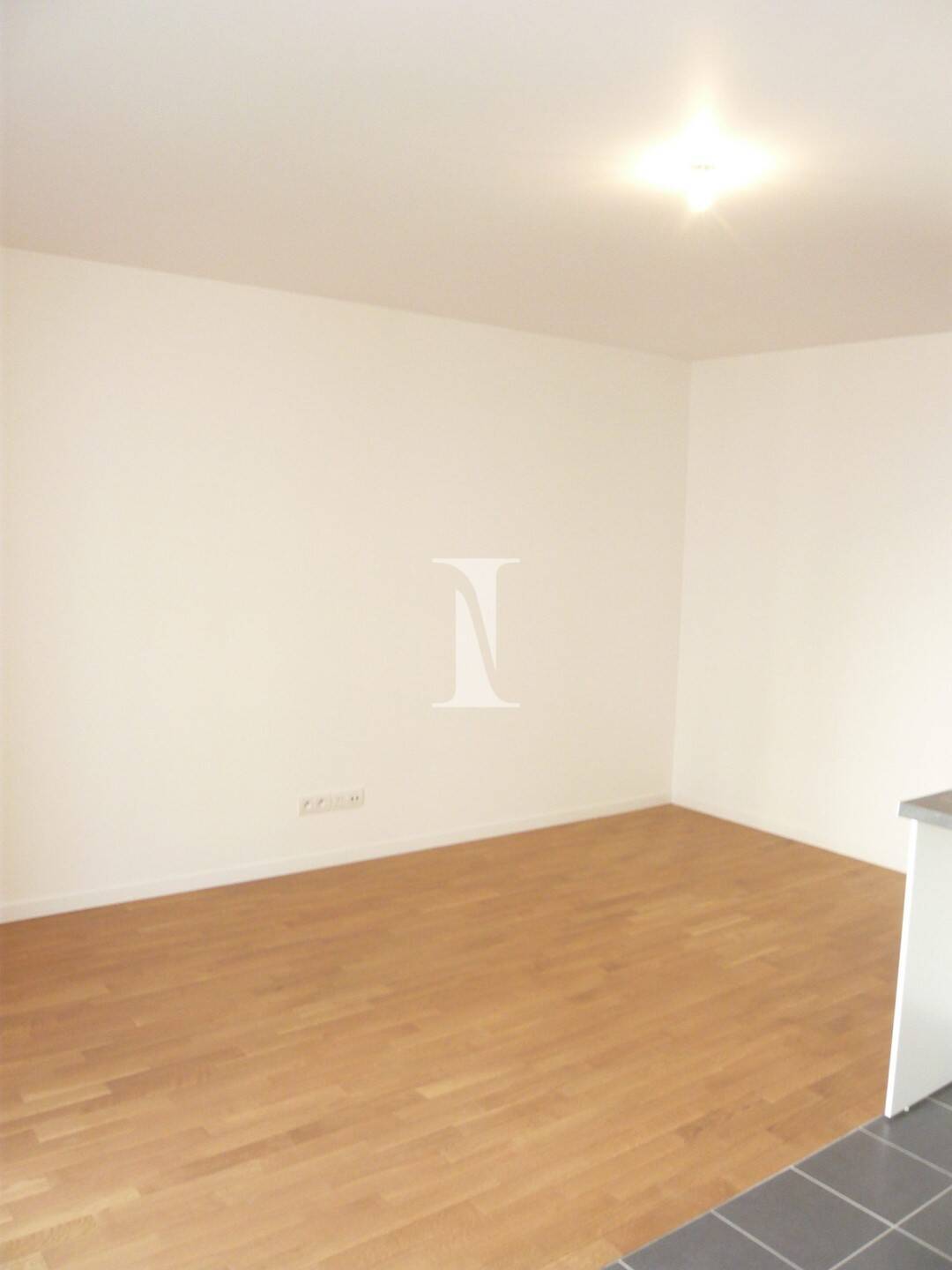 Maison à louer, 43m², ISSY LES MOULINEAUX