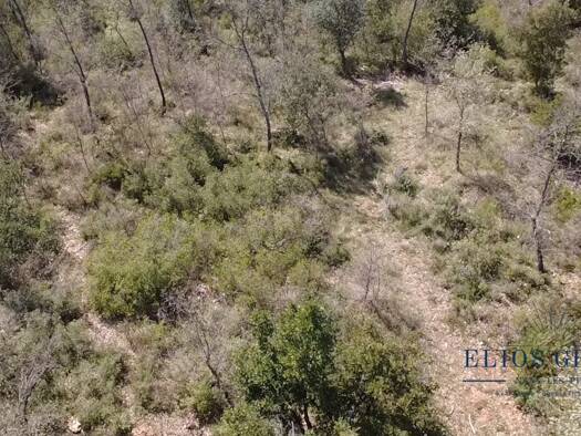 Propriété de loisirs à vendre 10 000 € 2 516 m² de terrain Nans-les-Pins 83860