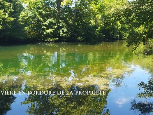 Château à vendre 1 000 000 € 25 pièces 20 chambres 678 m² 10 360 m² de terrain Avèze 30120