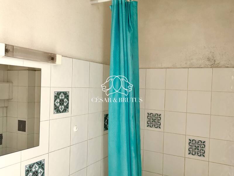 Maison à vendre, 41m², LYON 9E