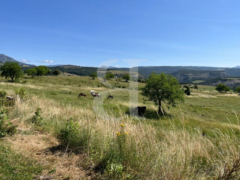 Maison à vendre, 524m², SAINT ANDRE DE ROSANS
