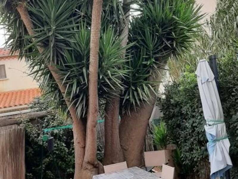 Maison à louer, 10m², PERPIGNAN