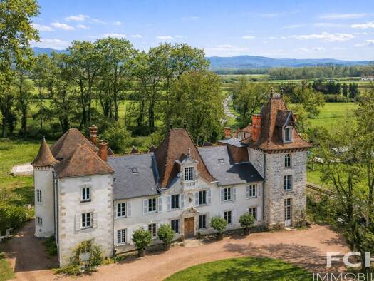 Château à vendre 1 630 000 € 19 pièces 11 chambres 641 m² 14 766 m² de terrain Saint-Priest-Bramefant 63310