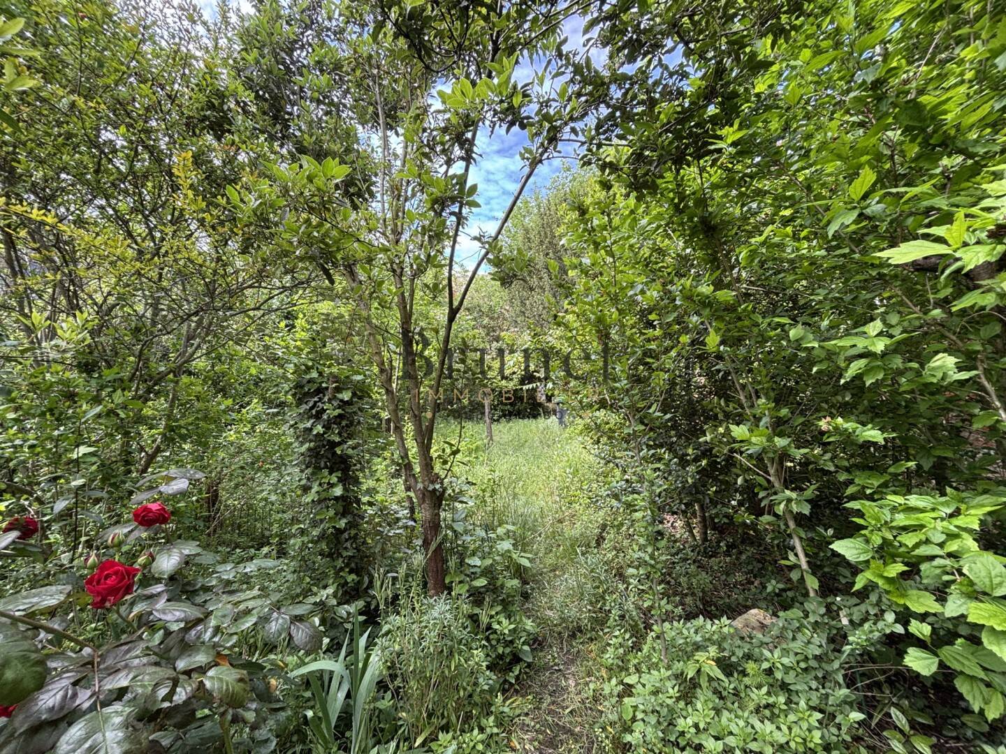 Maison à vendre, 46m², SAINT MAUR DES FOSSES