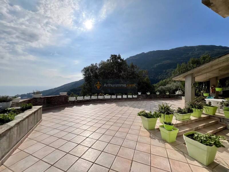 Maison à vendre, 381m², SAN MARTINO DI LOTA