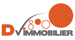 DV IMMOBILIER logo